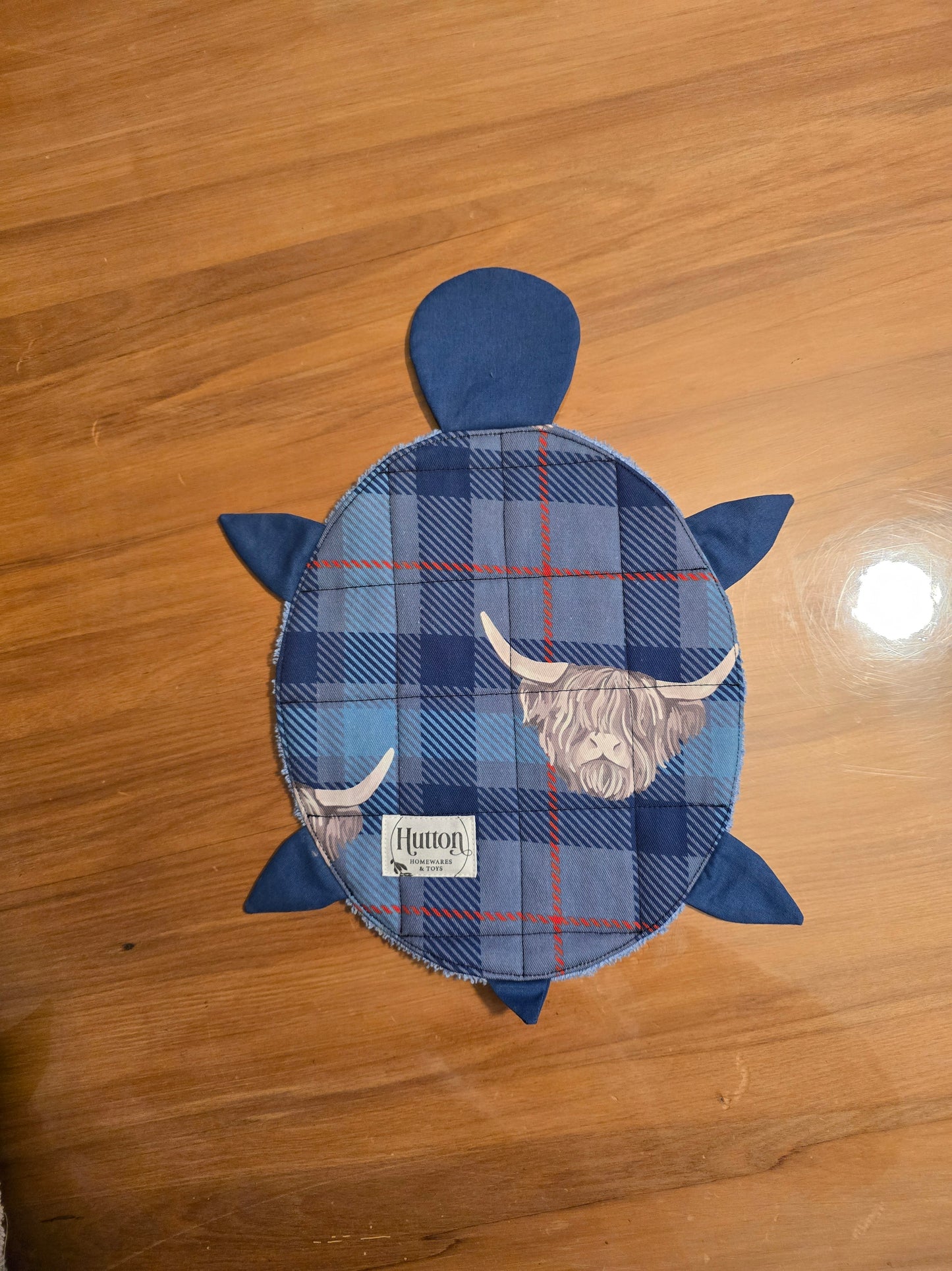 Floor Turtle